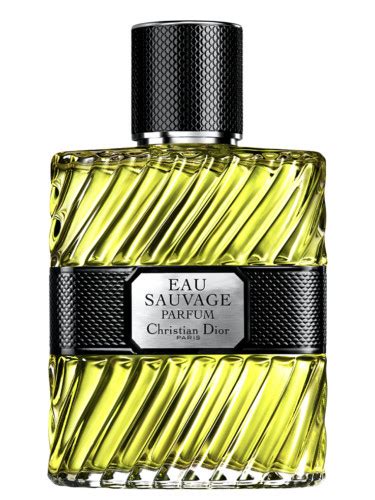 profumo dior pubblicita 2017|Eau Sauvage Parfum 2017 Dior for men .